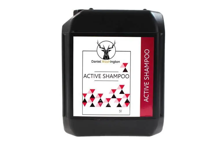 Popularny Daniel Washington Active Shampoo 5L (Szampon)